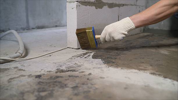 24/7 Emergency Wet Basement Repair experts in Cohoctah, MI